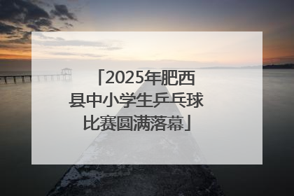 2025年肥西县中小学生乒乓球比赛圆满落幕