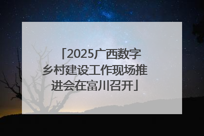 2025广西数字乡村建设工作现场推进会在富川召开