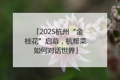 2025杭州“金桂花”启幕，杭帮菜如何对话世界