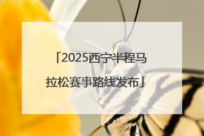 2025西宁半程马拉松赛事路线发布