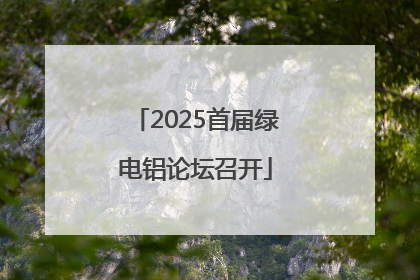 2025首届绿电铝论坛召开