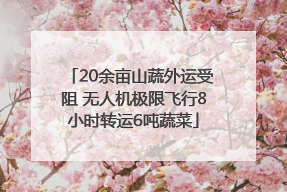 20余亩山蔬外运受阻 无人机极限飞行8小时转运6吨蔬菜
