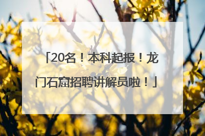 20名！本科起报！龙门石窟招聘讲解员啦！