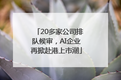 20多家公司排队候审，AI企业再掀赴港上市潮