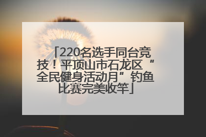 220名选手同台竞技！平顶山市石龙区“全民健身活动月”钓鱼比赛完美收竿