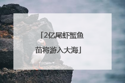 2亿尾虾蟹鱼苗将游入大海