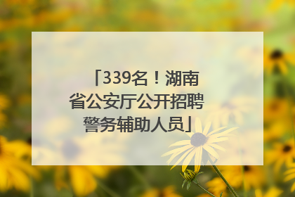 339名！湖南省公安厅公开招聘警务辅助人员
