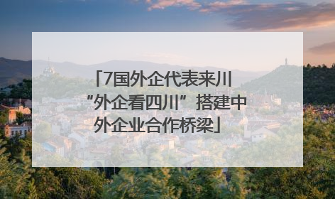7国外企代表来川 “外企看四川”搭建中外企业合作桥梁