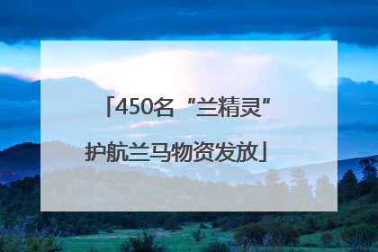 450名“兰精灵”护航兰马物资发放
