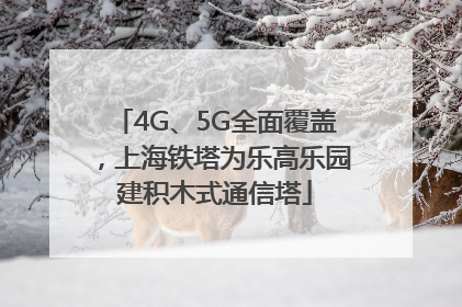 4G、5G全面覆盖，上海铁塔为乐高乐园建积木式通信塔