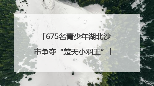 675名青少年湖北沙市争夺“楚天小羽王”