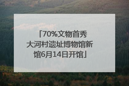 70%文物首秀 大河村遗址博物馆新馆6月14日开馆