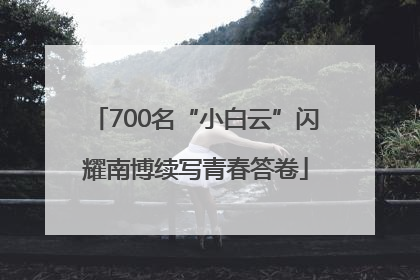 700名“小白云”闪耀南博续写青春答卷