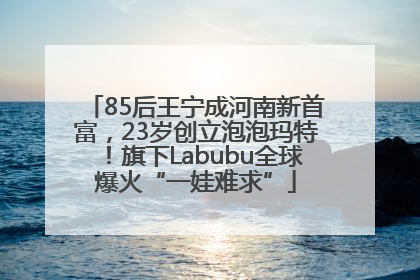 85后王宁成河南新首富，23岁创立泡泡玛特！旗下Labubu全球爆火“一娃难求”