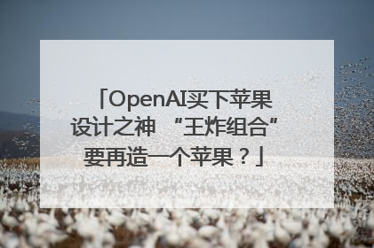 OpenAI买下苹果设计之神 “王炸组合”要再造一个苹果？