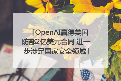 OpenAI赢得美国防部2亿美元合同 进一步涉足国家安全领域