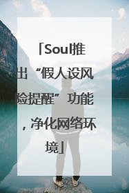 Soul推出“假人设风险提醒”功能，净化网络环境